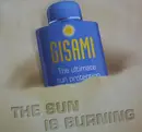 12'' - Gisami - The Sun Is Burning
