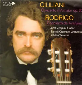Rodrigo - Concerto in A major, Concierto de Aranjuez
