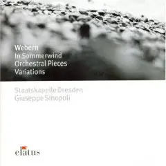 Giuseppe Sinopoli - Im Sommerwind (UK-Import)