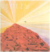 LP & CD - Gomez - A New Tide - + CD