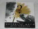 7inch Vinyl Single - Gone Tomorrow - Wonderful World