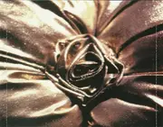 CD - The Goo Goo Dolls - Dizzy Up The Girl