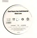 12'' - Good Players - What's Love