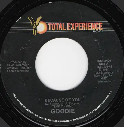 Goodie - Because Of You