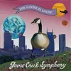 CD - Goose Creek Symphony - The Goose Is Loose