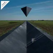 Goose - Synrise