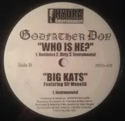 12inch Vinyl Single - Godfather Don - Do You Know? / Big Katz / Who Is He?