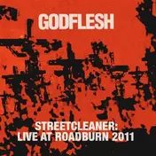 Godflesh - Live At Roadburn
