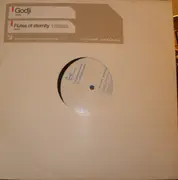 12inch Vinyl Single - Godji - Flutes Of Eternity