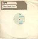 12inch Vinyl Single - Godji - Flutes Of Eternity