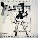 LP - Godley & Creme - Birds Of Prey