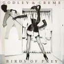LP - Godley & Creme - Birds Of Prey