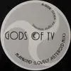 12inch Vinyl Single - Gods Of Tv - Mankind
