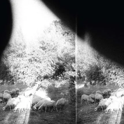 Godspeed You Black Emperor! - Asunder,Sweet And Other Distress