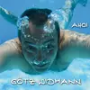 LP - Götz Widmann - Ahoi - Gatefold