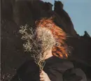CD - Goldfrapp - Silver Eye