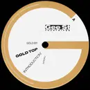 12'' - Goldtop - Introduction