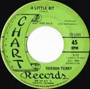 7inch Vinyl Single - Gordon Terry - A Little Bit / Holding Trouble