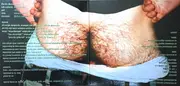 LP - Gorilla Monsoon - Damage King - Still sealed, Numbered