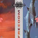 12'' - Got To Be - Freedom
