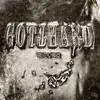 LP-Box - Gotthard - Silver (2lp+cd)