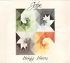 CD - Gotye - Making Mirrors - Gatefold sleeve in cardboard slipcase