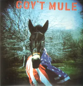 Gov't Mule - Gov't Mule