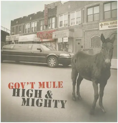 Gov't Mule - High & Mighty