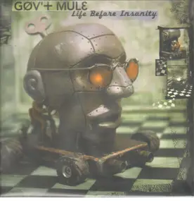 Gov't Mule - Life Before Insanity