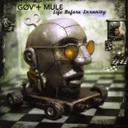 CD - Gov't Mule - Life Before Insanity