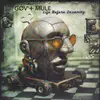 Double LP - Gov't Mule - Life Before Insanity