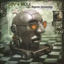 Double LP - Gov't Mule - Life Before Insanity - 180g Vinyl