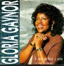 12inch Vinyl Single - Gloria Gaynor - I Am What I Am (Club Remix)