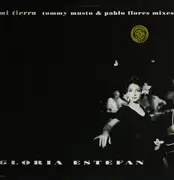 12inch Vinyl Single - Gloria Estefan - Mi Tierra