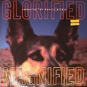 Glorified Magnified - Releasing The Beauty Within