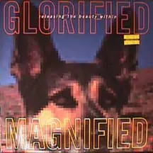 Glorified Magnified - Releasing The Beauty Within