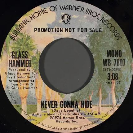 Glass Hammer - Never Gonna Hide