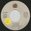7inch Vinyl Single - Glass Moon - On A Carousel