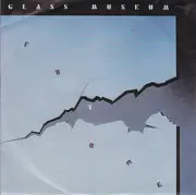 7inch Vinyl Single - Glass Museum - Future