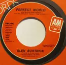 7inch Vinyl Single - Glen Burtnick - Perfect World