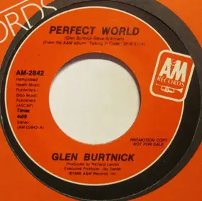 Glen Burtnick - Perfect World