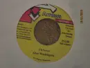 7inch Vinyl Single - Glen Washington - I'll Never