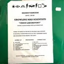 Double LP - Gms - Chaos Laboratory - Promo