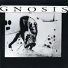 7'' - Gnosis - Disunion - NOISE