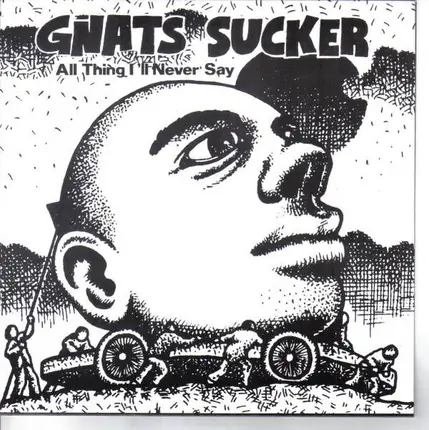 Gnats Sucker - All Thing I'll Never Say