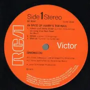 LP - Gnidrolog - ...In Spite Of Harry's Toe-Nail - Original 1st UK