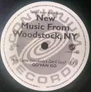 7inch Vinyl Single - Go Van Go / Peacebomb - How Come Everybody's Got A Gun? / Lean Skinned Mammal