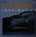 12inch Vinyl Single - Go! Sister Dreams - Imagination