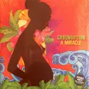 Double LP - Groundation - A Miracle - Still Sealed