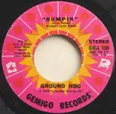 7inch Vinyl Single - Groundhog - Bumpin